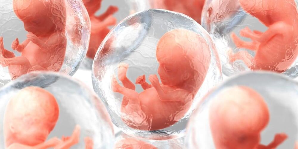 Taking Human DNA to Create Artificial Embryos