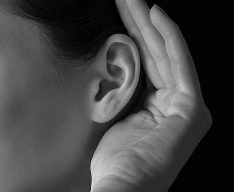 New Study Casts Doubt on Old Ideas of How Hearing Works